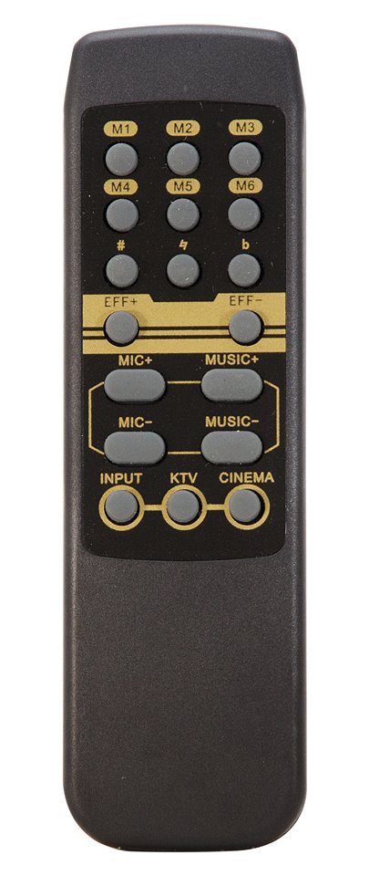 remote amply Vang Số Karaoke 9900G